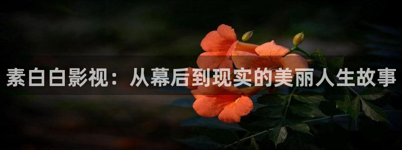 马大帅1全集免费观看在线西瓜