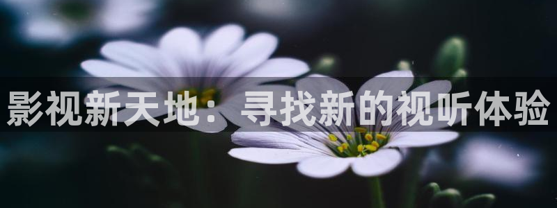 工人大院免费观看全集西瓜