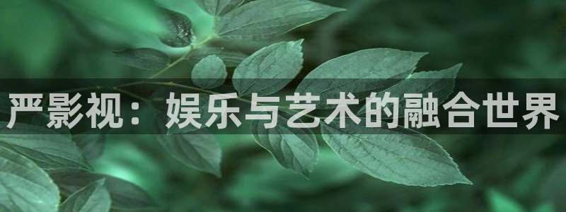正者无敌46集免费观看西瓜影院