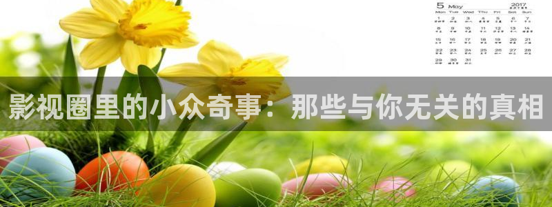 全员加速中第二季免费观看西瓜