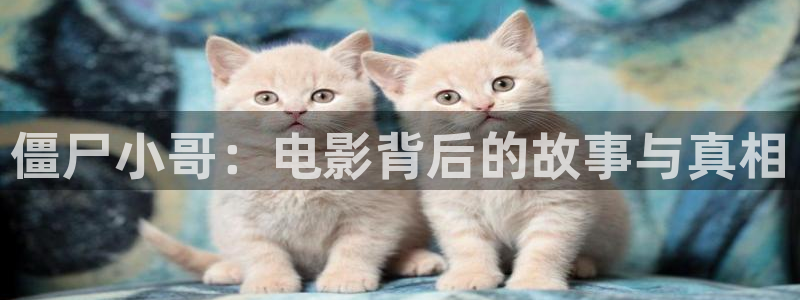 风中奇缘在线观看免费观看西瓜