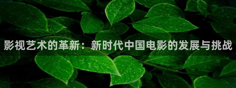 西西瓜视频