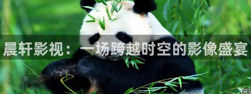 亲爱的妈妈西瓜影院