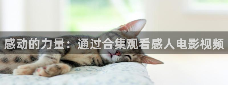 在线观看免费观看西瓜