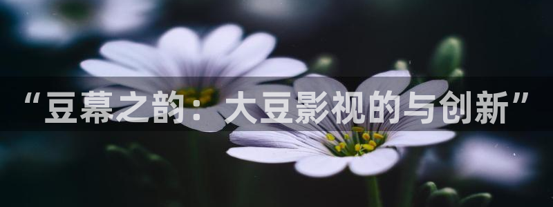 你微笑时很美西瓜影院免费观看