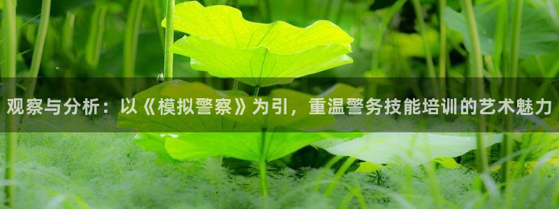 北京 西瓜
