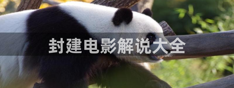 西瓜影院2020