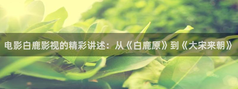 谁的青春不迷茫免费观看西瓜